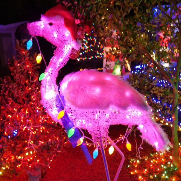 5 ft Flamingo Acrylic LED Christmas Light Yard Sculpture Tropical Beach Sea Life - Picture 3 of 10